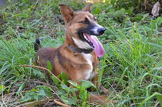 click for enlarge 1000 X 662 226.9 Kb picture