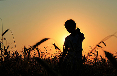 click for enlarge 1920 X 1251 421.9 Kb picture