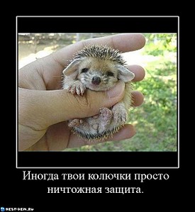 click for enlarge 590 X 642 53.4 Kb picture