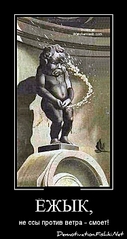 click for enlarge 374 X 703 116.5 Kb picture