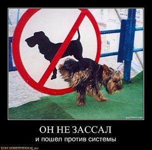 click for enlarge 699 X 687 65.8 Kb picture