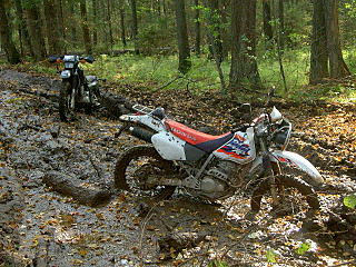 click for enlarge 640 X 480 130.1 Kb picture