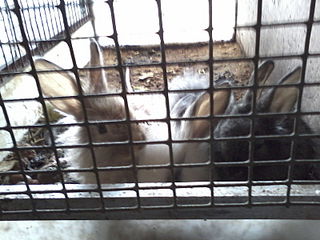 click for enlarge 1600 X 1200 274.5 Kb picture