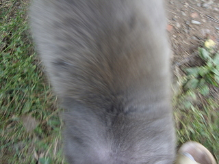 click for enlarge 1920 X 1440 146.9 Kb picture