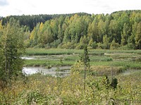 click for enlarge 1024 X 768 321.8 Kb picture