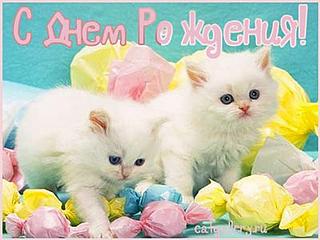 click for enlarge 400 X 300  20.7 Kb picture