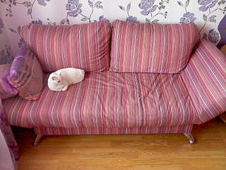 click for enlarge 1600 X 1200 280.0 Kb picture