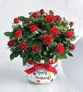 click for enlarge 480 X 538  44.8 Kb picture