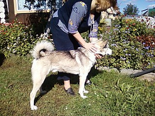 click for enlarge 1280 X 960 402.7 Kb picture