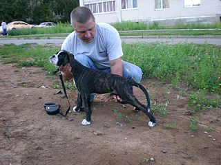 click for enlarge 800 X 600 159.3 Kb picture