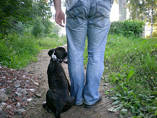 click for enlarge 800 X 600 193.0 Kb picture
