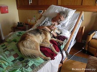 click for enlarge 604 X 453 59.0 Kb picture