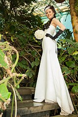 click for enlarge 682 X 1024 183.8 Kb picture