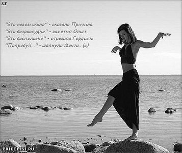 click for enlarge 500 X 420  43.8 Kb picture