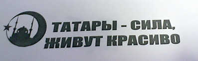 click for enlarge 1820 X 568 217.5 Kb picture