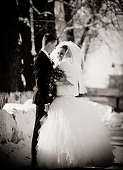 click for enlarge 506 X 700 147.6 Kb picture