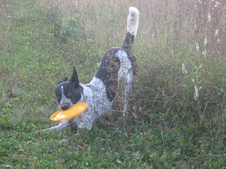 click for enlarge 1920 X 1440 706.0 Kb picture