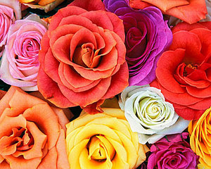click for enlarge 400 X 320 49.3 Kb picture