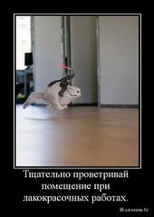 click for enlarge 319 X 450  18.1 Kb picture