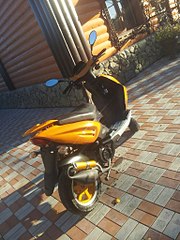 click for enlarge 768 X 1024 185.1 Kb picture