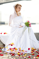 click for enlarge 1920 X 2880 342.4 Kb picture
