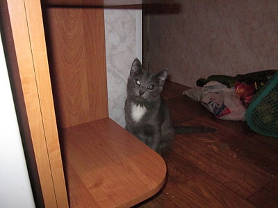 click for enlarge 1920 X 1440 538.4 Kb picture