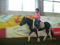 click for enlarge 1920 X 1440 317.8 Kb picture