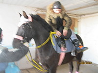 click for enlarge 1920 X 1440 353.4 Kb picture