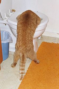 click for enlarge 427 X 640  41.8 Kb picture