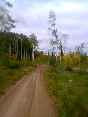 click for enlarge 480 X 640  54.8 Kb picture