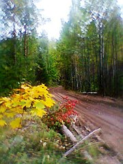 click for enlarge 480 X 640  73.2 Kb picture