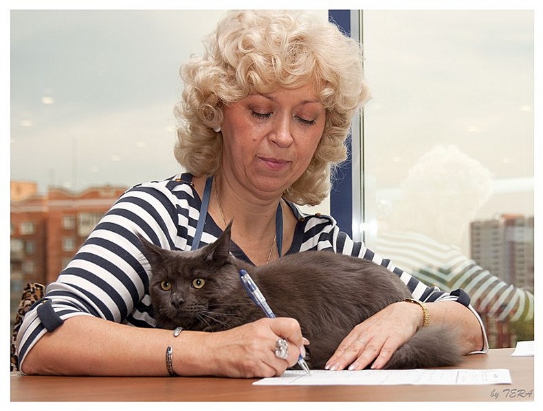 click for enlarge 800 X 607 102.6 Kb picture