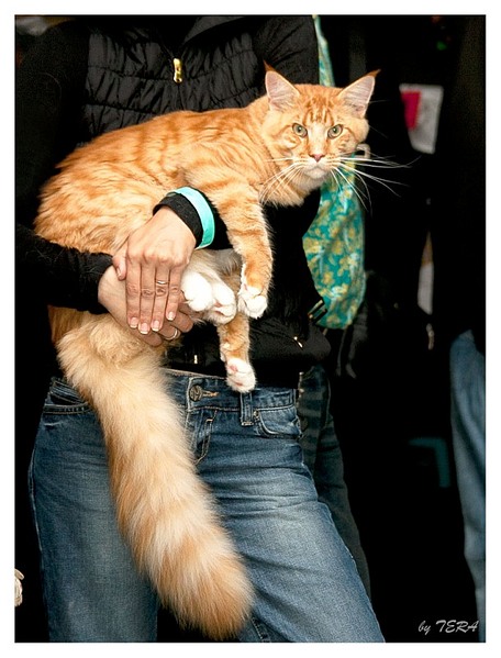 click for enlarge 609 X 800 123.2 Kb picture