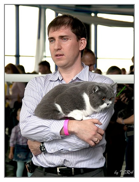 click for enlarge 611 X 800 123.5 Kb picture