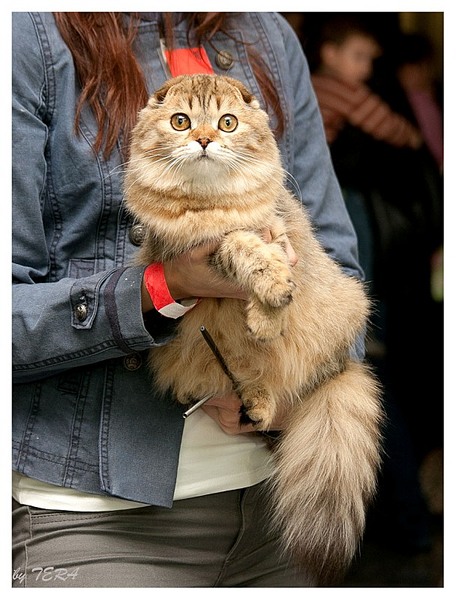 click for enlarge 608 X 800 139.3 Kb picture