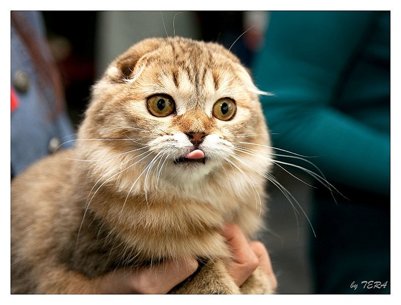 click for enlarge 800 X 610 103.5 Kb picture