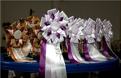 click for enlarge 800 X 520 101.7 Kb picture