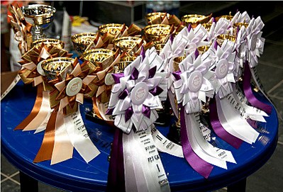 click for enlarge 800 X 543 160.7 Kb picture