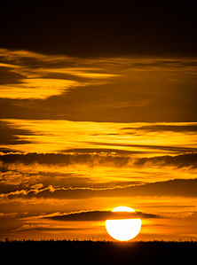 click for enlarge 1110 X 1500 516.8 Kb picture