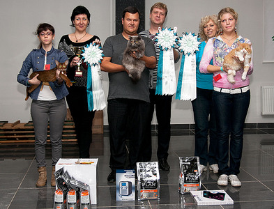 click for enlarge 1445 X 1101 317.1 Kb picture