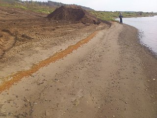 click for enlarge 1920 X 1440 603.6 Kb picture