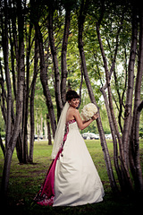 click for enlarge 1920 X 2880 639.1 Kb picture