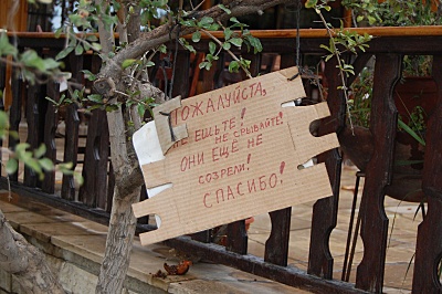 click for enlarge 800 X 532 206.9 Kb picture