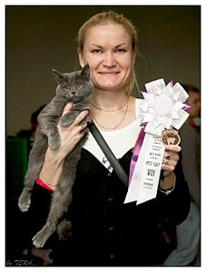 click for enlarge 486 X 640  45.8 Kb picture