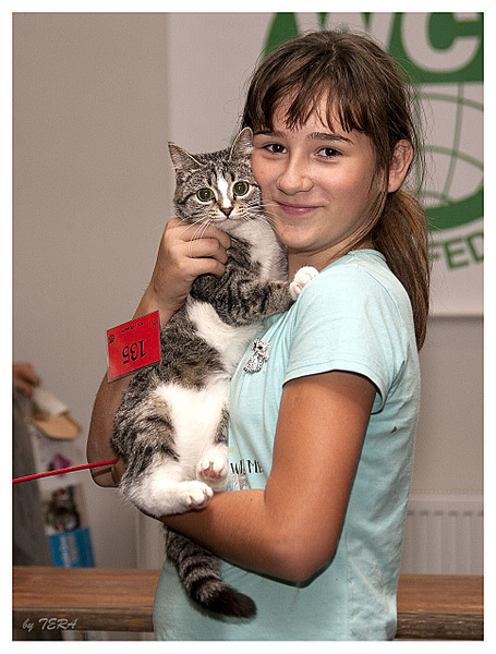 click for enlarge 968 X 1275 268.6 Kb picture