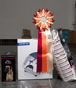 click for enlarge 1920 X 2213 911.5 Kb picture