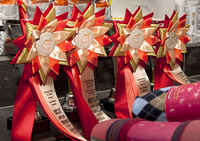 click for enlarge 1920 X 1355 862.4 Kb picture