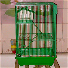 click for enlarge 500 X 500 322.1 Kb picture