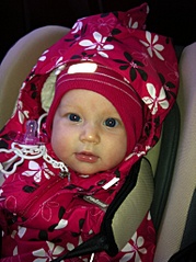click for enlarge 765 X 1024 222.2 Kb picture