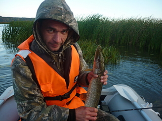 click for enlarge 1920 X 1440 240.1 Kb picture